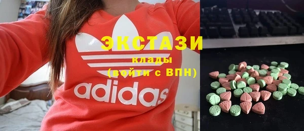 индика Новодвинск