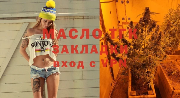 индика Новодвинск