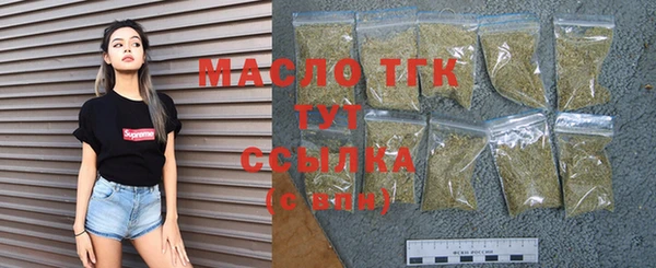 индика Новодвинск