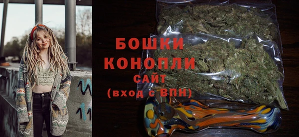 стаф Новозыбков