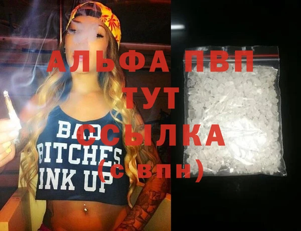 стаф Новозыбков