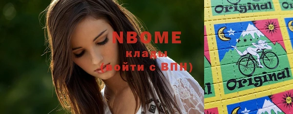 стаф Новозыбков