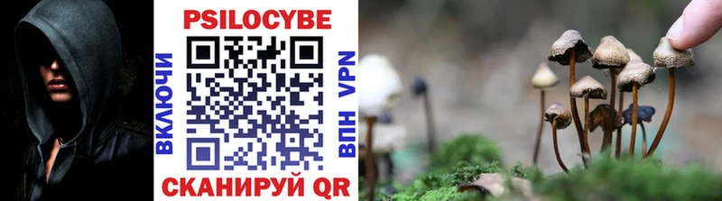 МЕГА ссылка  Тавда  Псилоцибиновые грибы ЛСД  хочу  